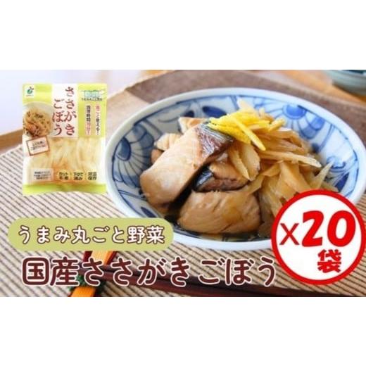ふるさと納税 加工品等 富山県 射水市 「うまみ丸ごと野菜 国産ささがきごぼう 100g」×20袋 離島への配送不可