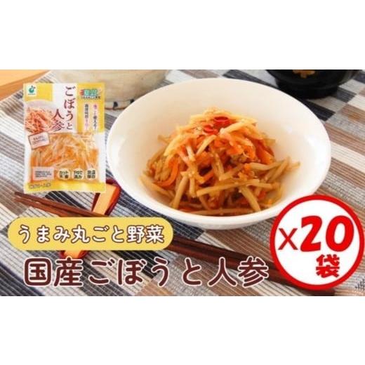 ふるさと納税 加工品等 富山県 射水市 「うまみ丸ごと野菜 国産ごぼうと人参 100g」×20袋 離島への配送不可