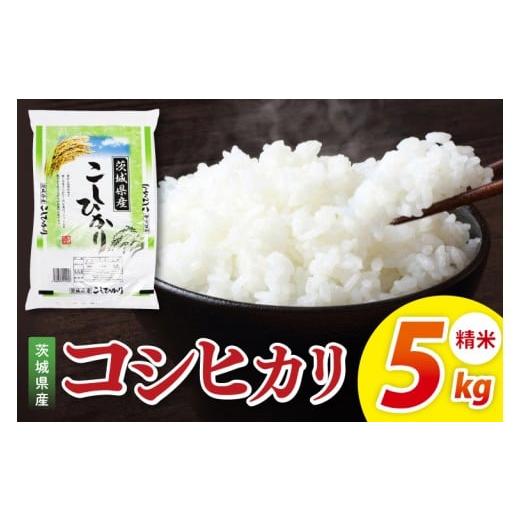 ふるさと納税 米 コシヒカリ 茨城県 阿見町 茨城県産コシヒカリ 精米 5kg|精米 定期便 お米 米 こめ コメ ごはん 白米 阿見町 茨城県 茨城県産 茨城県産米 …
