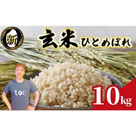 ふるさと納税 玄米 静岡県 牧之原市 先行予約 2026年産 玄米 ひとめぼれ 10kg 予約受付 9月中旬より順次発送 数量限定 期間限定 令和8年度産 お米 白米 新米 …