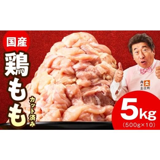 ふるさと納税 鶏肉 モモ 大阪府 泉佐野市 特別規格 国産 鶏もも肉 切身 5kg カット済み 氷温熟成×極味付け 小分け 味付き 簡単調理 訳あり サイズ不揃い 鶏…