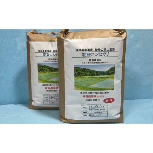 ふるさと納税 玄米 石川県 - 能登町産 特別栽培米 能登コシヒカリ(玄米) 5kg×2袋