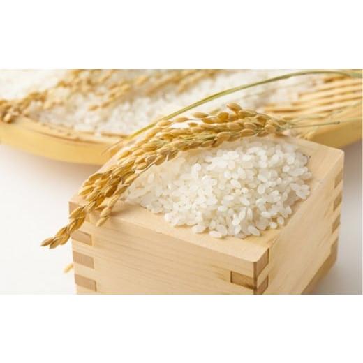 ふるさと納税 米 コシヒカリ 石川県 - 能登町産 特別栽培米 能登コシヒカリ(精米) 5kg