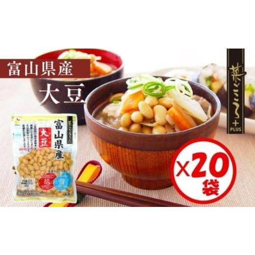 ふるさと納税 加工品等 富山県 射水市 「菜ごころPLUS 富山県産大豆 120g」×20袋 離島への配送不可