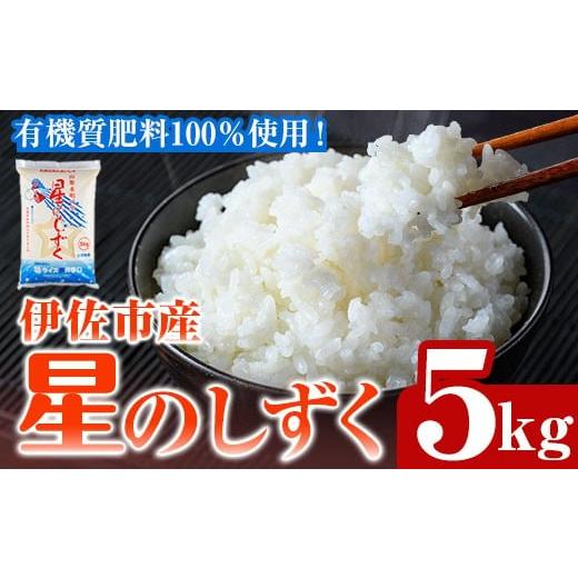 ふるさと納税 米 鹿児島県 伊佐市 isa798 令和7年度産 星のしずく(5kg) 伊佐市 お米 米 おこめ こめ 白米 精米 伊佐米 星のしずく 5kg ライス郷井手口