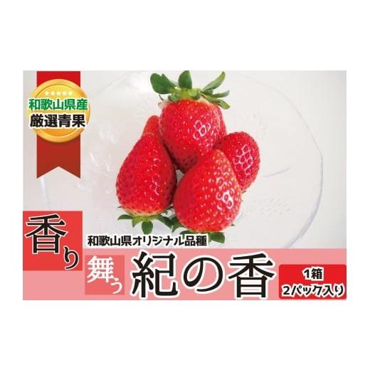 ふるさと納税 いちご 和歌山県 かつらぎ町 和歌山の豊かな自然が育んだいちご。香りの逸品「紀の香」2パック 2026年1月中旬〜2026年3月中旬ごろお届け予定 /…