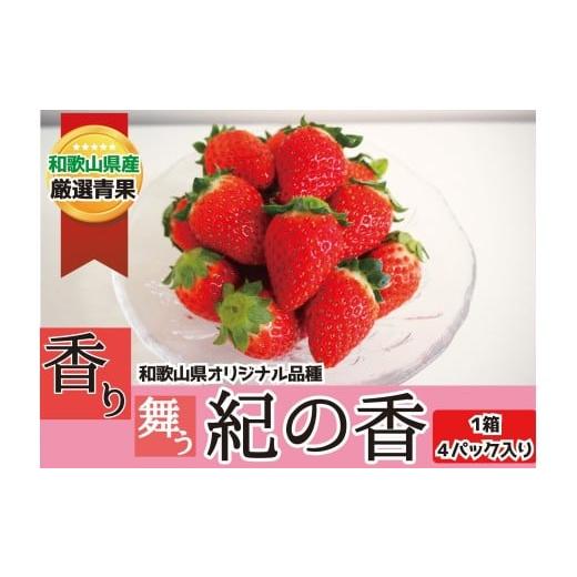 ふるさと納税 いちご 和歌山県 かつらぎ町 和歌山の豊かな自然が育んだいちご。香りの逸品「紀の香」4パック 2026年1月中旬〜2026年3月中旬ごろお届け予定 / …