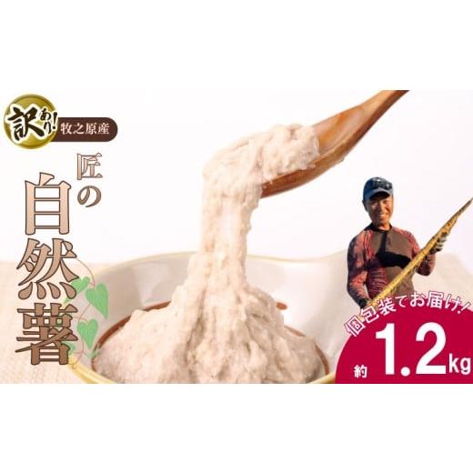 ふるさと納税 野菜類 きのこ 静岡県 牧之原市 自然薯 訳あり 約 1.2kg 訳アリ じねんじょ 山芋 ヤマイモ 山いも とろろ とろろ汁 国産 滋養強壮 強壮 とろろ…