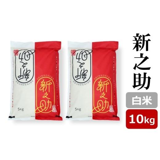 ふるさと納税 米 新潟県 柏崎市 令和7年産米 新之助 白米 10kg(5kg×2袋) 新潟米 しんのすけ