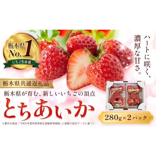 ふるさと納税 いちご 栃木県 野木町 いちご とちあいか 2パック 560g [2025年12月下旬-2026年3月上旬頃出荷] JAおやま 栃木県 野木町 イチゴ 苺 果物 フルー…