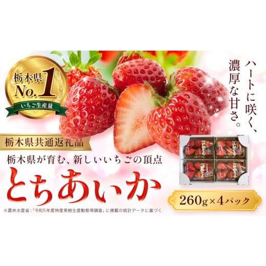 ふるさと納税 いちご 栃木県 野木町 いちご とちあいか 4パック 1040g [2025年12月下旬-2026年3月上旬頃出荷] JAおやま 栃木県 野木町 イチゴ 苺 果物 フル…