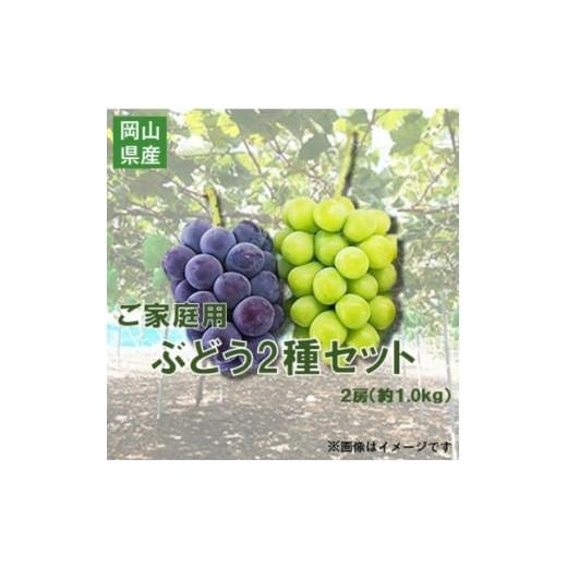 ふるさと納税 ぶどう 巨峰 岡山県 新庄村 2026年先行予約 訳あり NISSHOKU FARM ご家庭用ぶどう2種セット 約1.0kg 1706916