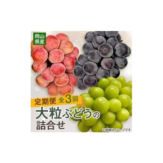 ふるさと納税 ぶどう 巨峰 岡山県 新庄村 発送月固定定期便 10月〜12月 大粒ぶどうの詰め合わせ全3回 4081536
