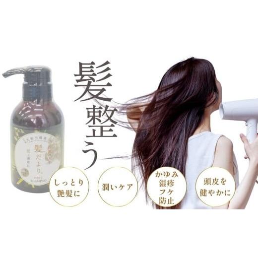 ふるさと納税 美容 奈良県 宇陀市  定期便6回 大和当帰美人 髪だより EXTEシャンプー 詰め替え用 1000ml ／ふるさと納税 エクステ 大和当帰 ボトル メンズ 大…の画像