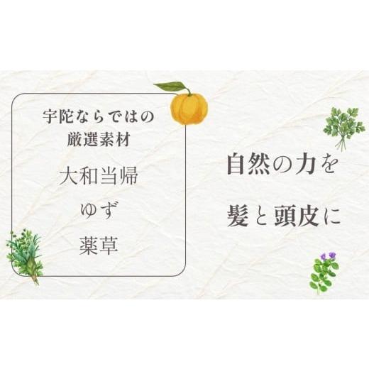ふるさと納税 美容 奈良県 宇陀市  定期便6回 大和当帰美人 髪だより EXTEシャンプー 詰め替え用 1000ml ／ふるさと納税 エクステ 大和当帰 ボトル メンズ 大…の画像