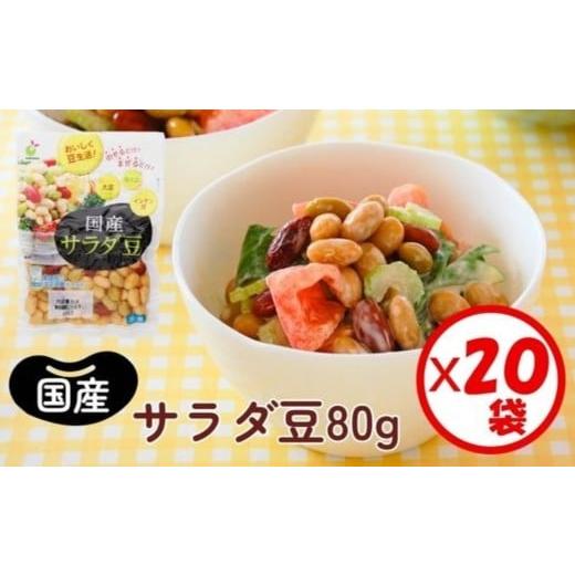 ふるさと納税 加工品等 富山県 射水市 「国産サラダ豆 80g」×20袋 離島への配送不可
