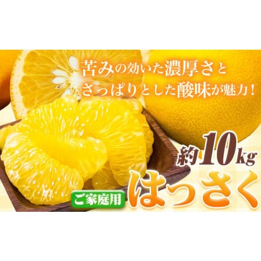ふるさと納税 みかん・柑橘類 和歌山県 日高町 ご家庭用 訳あり はっさく 八朔 みかん 10kg +250g 池田鹿蔵農園 日高町[1月上旬-3月末頃出荷]和歌山県 日高…