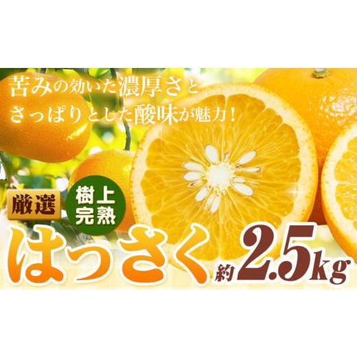 ふるさと納税 みかん・柑橘類 和歌山県 日高町 厳選 樹上完熟 はっさく 八朔 みかん 2.5kg+250g 傷み補償分 池田鹿蔵農園 @日高町[4月上旬-5月末頃出荷]和…