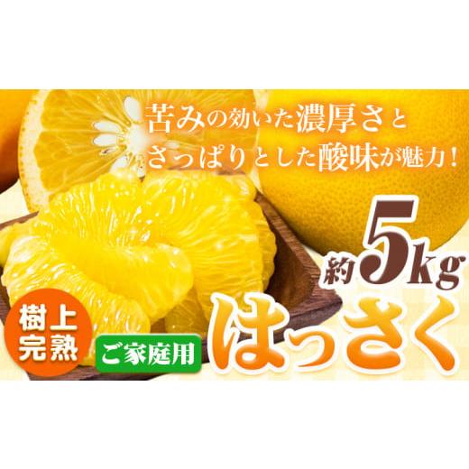 ふるさと納税 みかん・柑橘類 和歌山県 日高町 樹上完熟 ご家庭用 訳あり はっさく 八朔 みかん5kg +250g 傷み補償分 池田鹿蔵農園 @日高町[4月上旬-5月末頃…