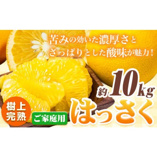 ふるさと納税 みかん・柑橘類 和歌山県 日高町 樹上完熟 ご家庭用 訳あり はっさく 八朔 みかん 10kg +250g 傷み補償分 池田鹿蔵農園 @日高町[4月上旬-5末旬…