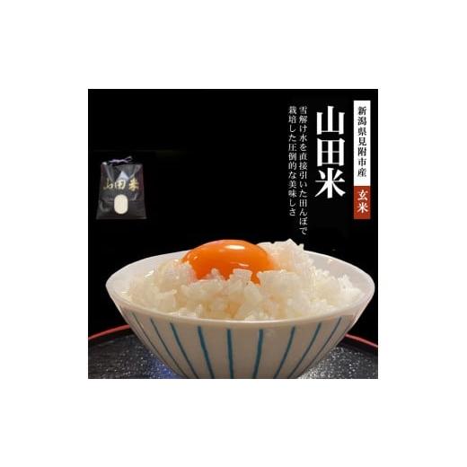 ふるさと納税 玄米 新潟県 見附市 ファーム喜左ヱ門 令和7年産 山田米(玄米) 5kg
