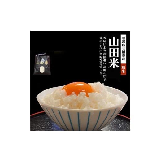 ふるさと納税 米 新潟県 見附市 ファーム喜左ヱ門 令和7年産 山田米 精米(白米) 5kg