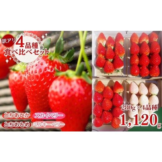 ふるさと納税 いちご 栃木県 矢板市 [2月上旬より順次出荷]|栃木のいちご 4品種食べ比べデラックス | 1120g |とちあいか とちおとめ スカイベリー ミルキー…