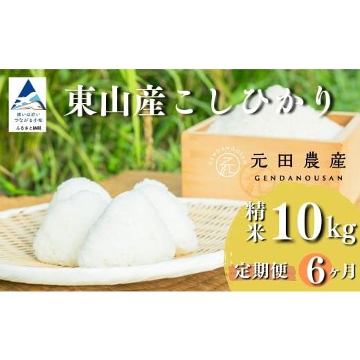 ふるさと納税 米 コシヒカリ 石川県 小松市 定期便 令和7年産 コシヒカリ 精米10kg×6ヶ月(毎月) お米 白米 こしひかり|石川県 小松市 元田農産 10kg×6ヶ…
