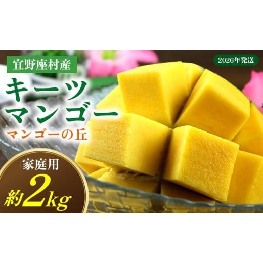 ふるさと納税 マンゴー 沖縄県 宜野座村 2026年発送 宜野座村産キーツマンゴー「マンゴーの丘」家庭用 約2kg フルーツ 甘い 美味しい 特徴 香り お取り寄…
