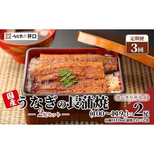ふるさと納税 うなぎ 静岡県 浜松市 定期便3回 国産うなぎ長蒲焼(100〜119g)2尾セット ITI優秀味覚賞受賞 たれ・山椒付き ウナギ 鰻 静岡 浜松市 配送不可…