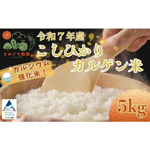 ふるさと納税 米 コシヒカリ 石川県 小松市 令和7年産 こしひかりカルゲン米 5kg お米 白米 コシヒカリ | 石川県 小松市 坂口農園 単品 5kg
