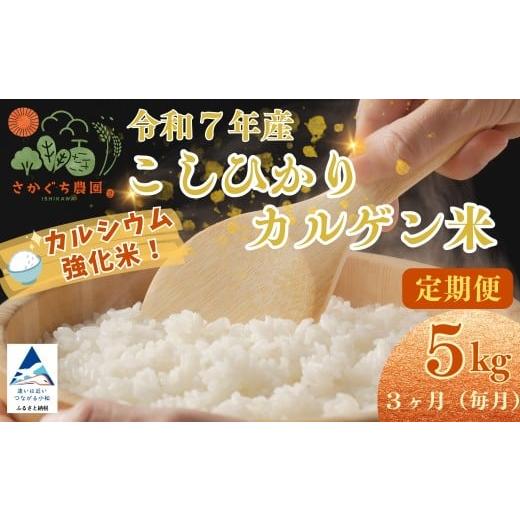 ふるさと納税 米 コシヒカリ 石川県 小松市 定期便 令和7年産 こしひかりカルゲン米 5kg×3ヶ月(毎月) お米 白米 コシヒカリ | 石川県 小松市 坂口農園 定期…