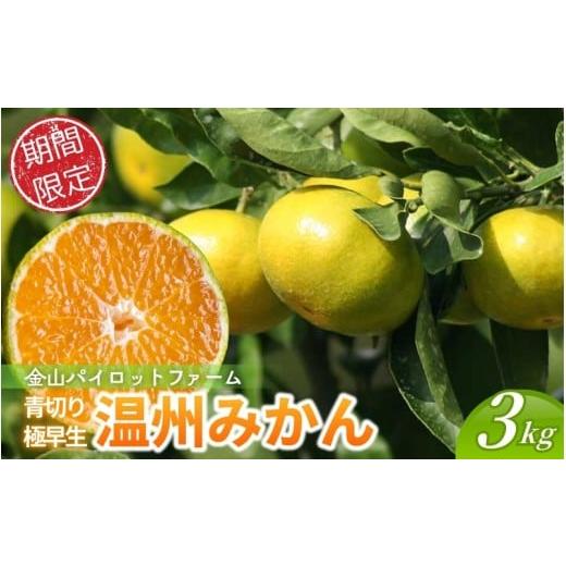 ふるさと納税 果物類 みかん 三重県 熊野市 北海道専用 みかん 金山パイロットファームの 極早生温州みかん 3kg 2026年9月下旬から順次発送 みかん ミカン 温…