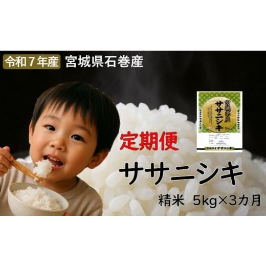 ふるさと納税 米 ササニシキ 宮城県 石巻市 毎月定期便 ササニシキ精米5kg 令和7年度産 全3回