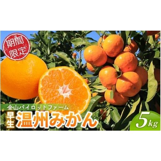 ふるさと納税 果物類 みかん 三重県 熊野市 北海道専用 みかん 金山パイロットファーム 温州みかん 5kg (早生) みかん ミカン 温州みかん 早生みかん 早生温…
