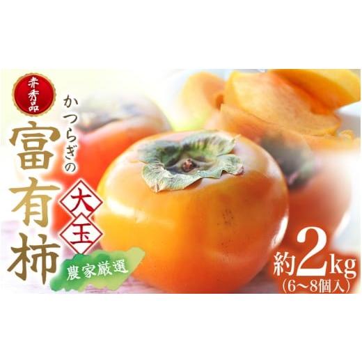 ふるさと納税 果物類 柿 和歌山県 太地町 先行予約 富有柿 赤秀品大玉6個〜8個入 こだわり農家厳選 2026年10月末から11月末頃順次発送 / 柿 フルーツ 果物 か…