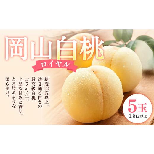 ふるさと納税 もも 岡山県 奈義町 岡山 白桃 ロイヤル 5玉 (合計1.5kg以上) 化粧箱入り 2026年7月上旬〜8月上旬迄発送予定 はくとう モモ もも 桃 フルーツ …
