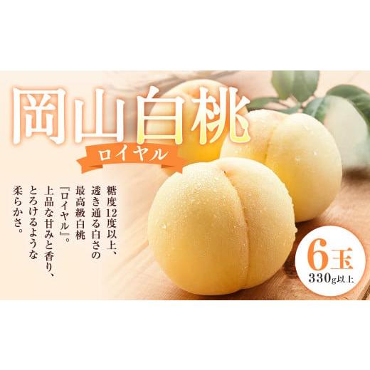 ふるさと納税 もも 岡山県 奈義町 岡山 白桃 ロイヤル 6玉(1玉330g以上・合計1.98kg以上) 木箱入り 2026年7月上旬〜8月上旬迄発送予定 はくとう モモ もも …