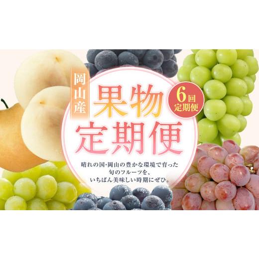 ふるさと納税 果物の詰合せ 岡山県 奈義町 6回定期便 白桃 マスカットオブアレキサンドリア 桃太郎ぶどう ニューピオーネ 晴王 紫苑 あたご梨 2026年7月上旬…