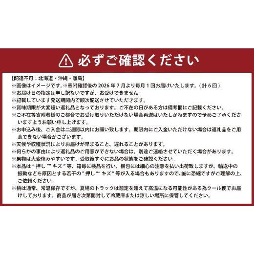 ふるさと納税 果物の詰合せ 岡山県 奈義町  6回定期便 白桃 マスカットオブアレキサンドリア 桃太郎ぶどう ニューピオーネ 晴王 紫苑 あたご梨 2026年7月上旬…_3