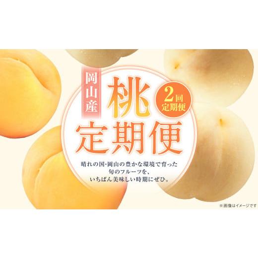 ふるさと納税 もも 岡山県 奈義町 2回定期便 桃 (白桃・黄金桃) 2026年7月上旬より順次発送開始 もも フルーツ 果物 くだもの ギフト 白桃 黄金桃 国産 岡…