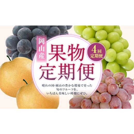 ふるさと納税 果物類 ぶどう 岡山県 奈義町 4回定期便 ニューピオーネ 晴王 紫苑 あたご梨 2026年9月上旬より順次発送開始 梨 葡萄 ブドウ ぶどう フルーツ …