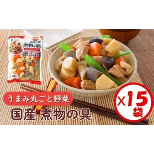 ふるさと納税 加工品等 富山県 射水市 「うまみ丸ごと野菜 国産煮物の具 520g」×15袋 離島への配送不可