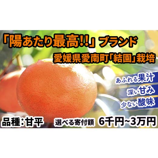 ふるさと納税 果物類 みかん 愛媛県 愛南町 甘平 みかん 陽あたり最高 農家直送 愛媛限定種 (濃い甘み/たっぷり果汁/少ない酸味)1.5万円4kgS~Mサイズ ミカ…