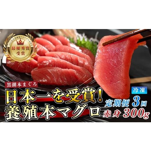 ふるさと納税 マグロ 高知県 大月町 まぐろ マグロ 本鮪 黒潮本まぐろ 赤身 定期便 3回 300g × 3回 刺身 さしみ 最優秀賞 全国養殖クロマグロ品評会 受賞 魚 …