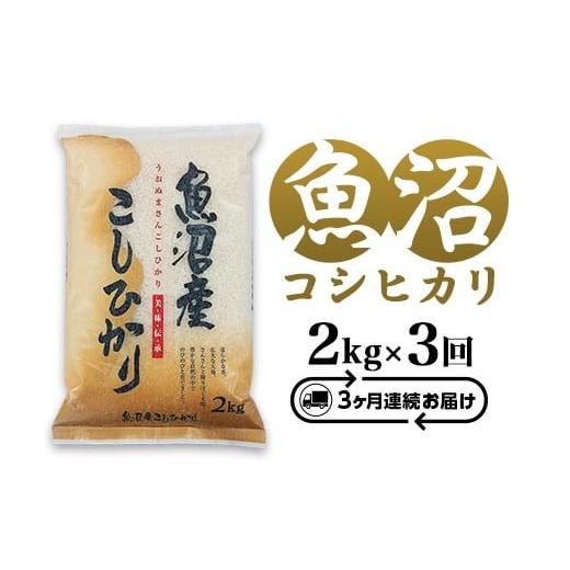 ふるさと納税 米 コシヒカリ 新潟県 長岡市 C2-7K023 3ヶ月連続お届け 新潟県魚沼産コシヒカリ2kg(長岡川口地域)