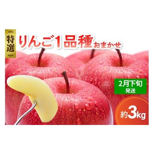 ふるさと納税 りんご 青森県 五所川原市 2026年2月下旬発送 特選 旬の美味しい りんご 約3kg 青森産 おまかせ1品種 2月下旬発送(21日〜末日)