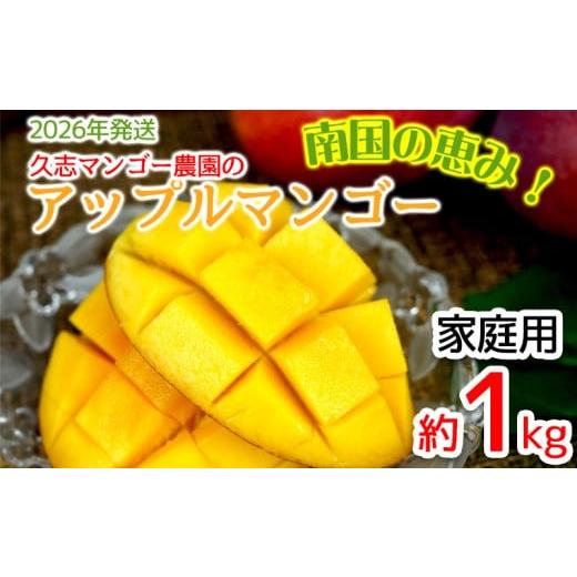 ふるさと納税 マンゴー 沖縄県 宜野座村 2026年発送 久志マンゴー農園のアップルマンゴー家庭用(約1kg) アーウィン 果物 甘い 夏 濃厚 ギフト Mango ランキ…