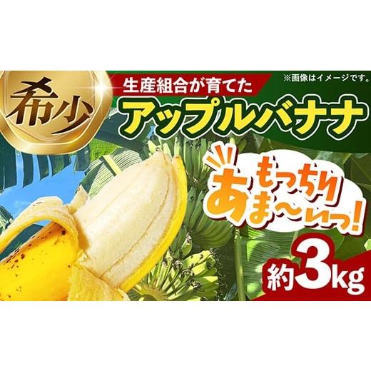 ふるさと納税 果物類 沖縄県 八重瀬町 熱帯果樹生産組合のアップルバナナ 約3kg - バナナ ばなな 小ぶり 沖縄県 産地直送 果物 フルーツ 南国 朝食 おすすめ …