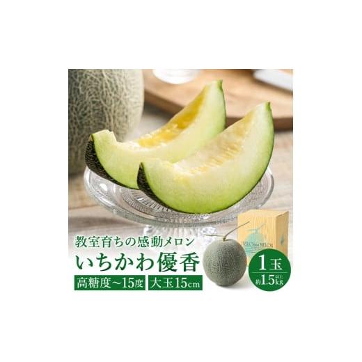 ふるさと納税 メロン メロン青肉 兵庫県 市川町 年中発送 感動メロン「いちかわ優香」1玉 010HS02N. / 果物 フルーツ メロン お取り寄せ 旬 水耕栽培